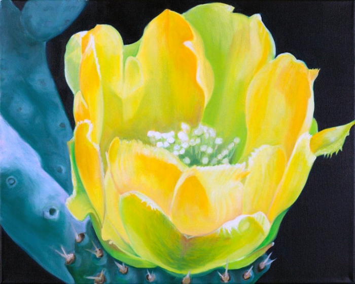 Kaktusblüte