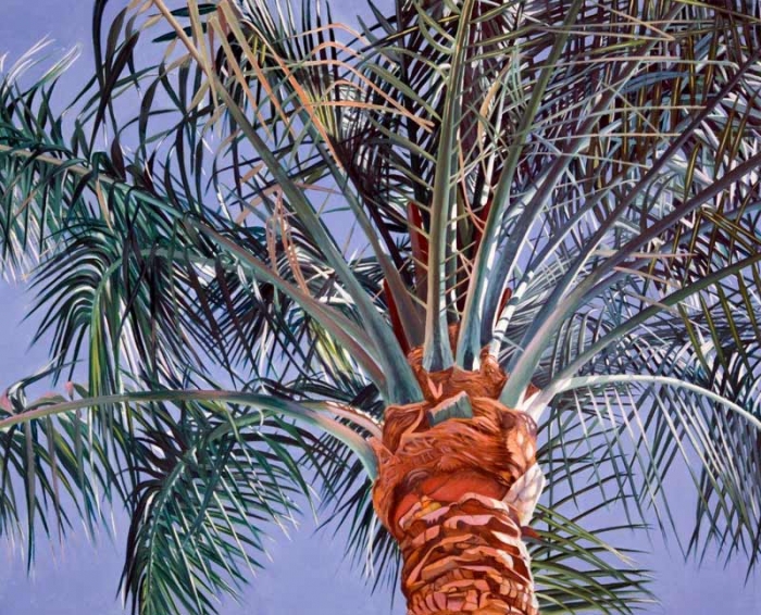 Palme
