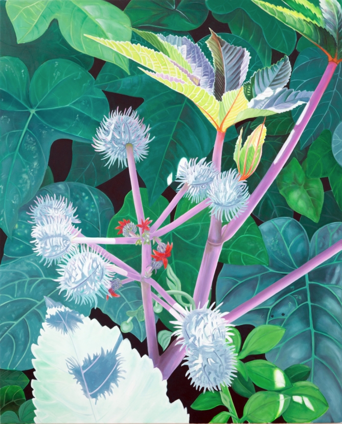 Rhizinus 2015