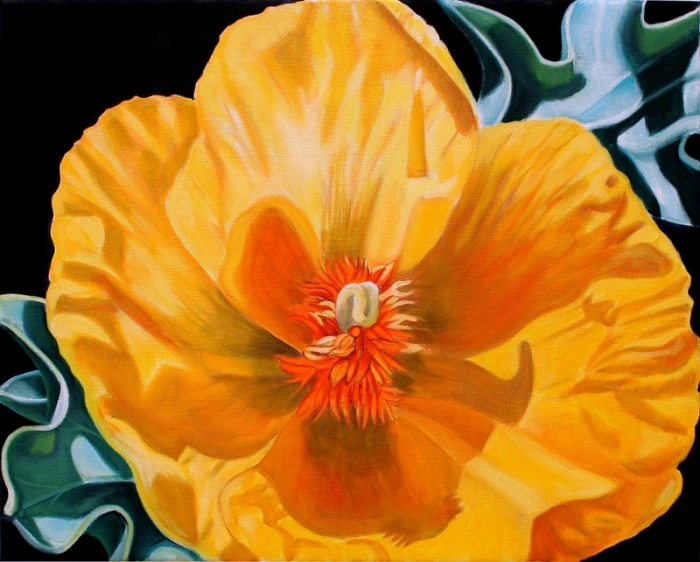 Strandmohn I