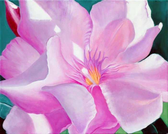 Oleander